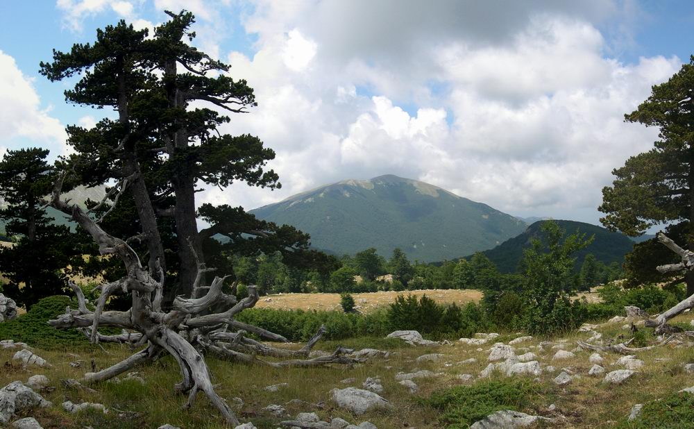 Panoramiche dal Pollino